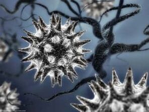 Model wirusa pasożytniczego
